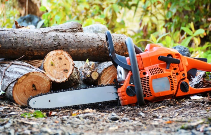 樹木の伐採・枝落とし